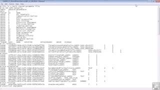 04  Parameters  02   Shared Parameters