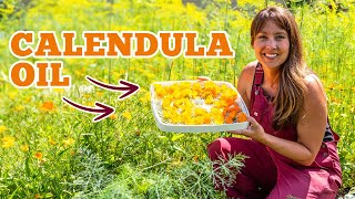 Watch What Happens When You Soak This Herb in Oil | Homemade Calendula Oil