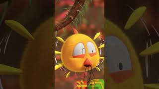 Get Your Christmas Tree Ready! #Christmastree #Shorts #Chicky | Cartoon For Kids