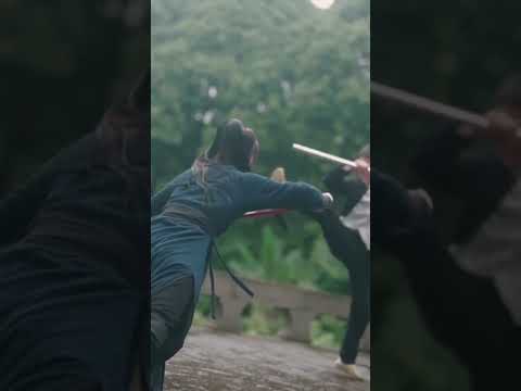 峨眉女侠
