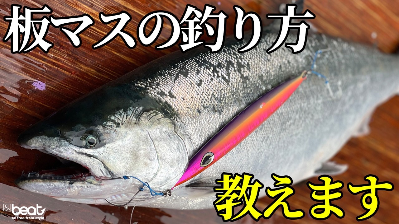 【サクラマスジギング】津軽海峡で板マスの釣り方教えます【釣り方教えます】