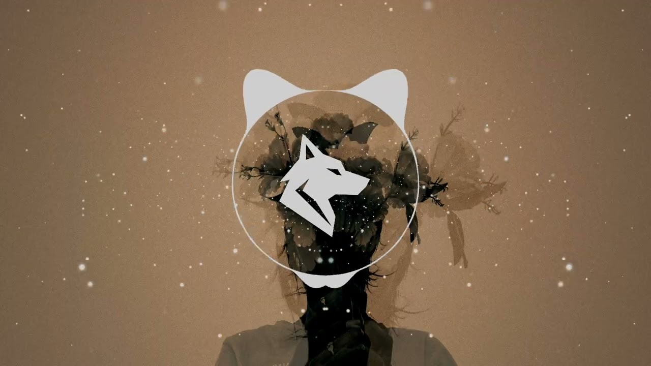 Vanic X Casey Cook - In My Mind