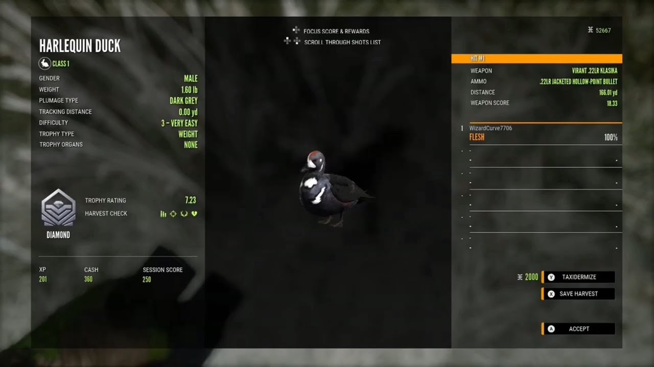 DIAMOND Harlequin Duck HUNTER CALL OF THE WILD YouTube