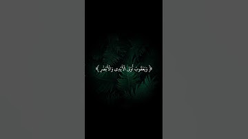 القارئ محمد النقيدان #اكسبلور