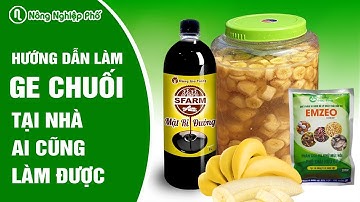 Hướng dẫn làm GE chuối đơn giản tại nhà | Nông Nghiệp Phố