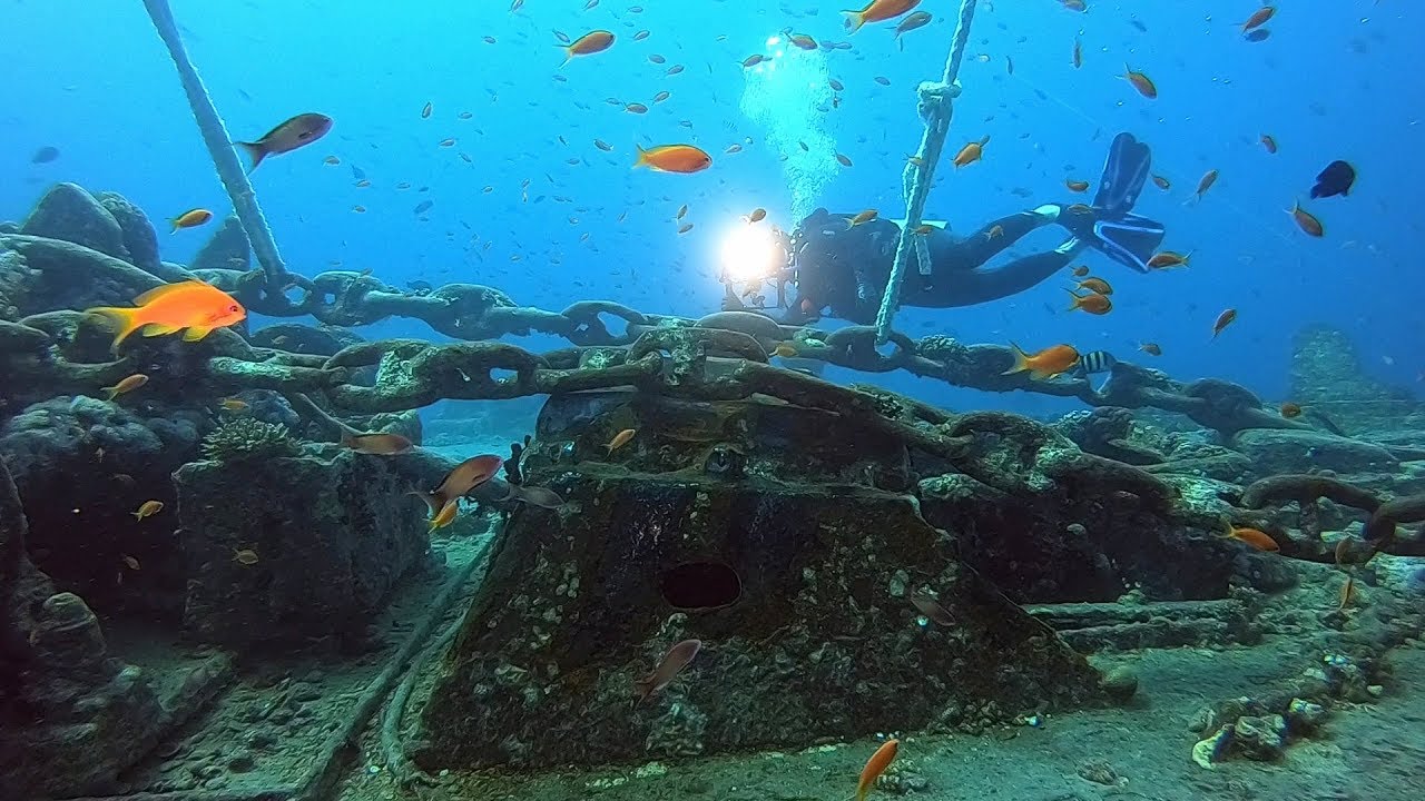 SS Tistlegorm 2018