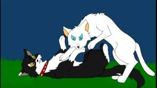 My Shot Warriors Map Part 43 Warriorsutdfan -