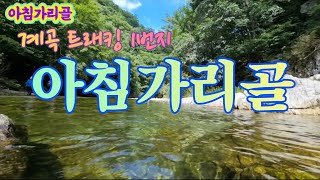 방태산 아침가리골 계곡 트래킹 2023 여름