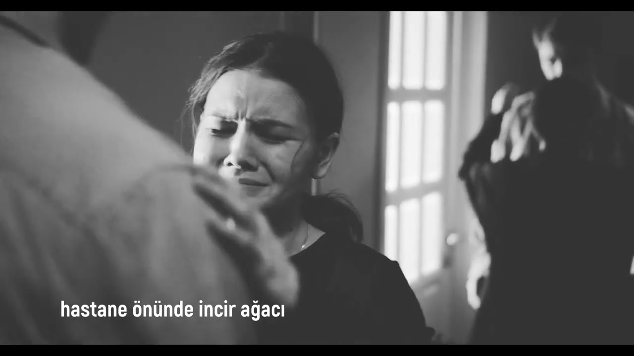 Hastane Önünde İncir Ağacı - Morturna 