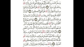 سورة لقمان من ٢٩ إلى ٣٤ مكررة