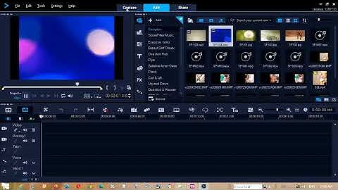 Module 3: Interface (VideoStudio)