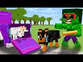 Monster School : Hulk Become Dog - Sad Story - Minecraft Animation