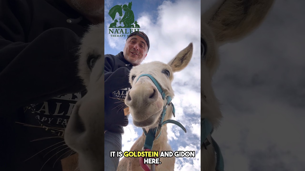 This is our new year ❤️‍🩹 