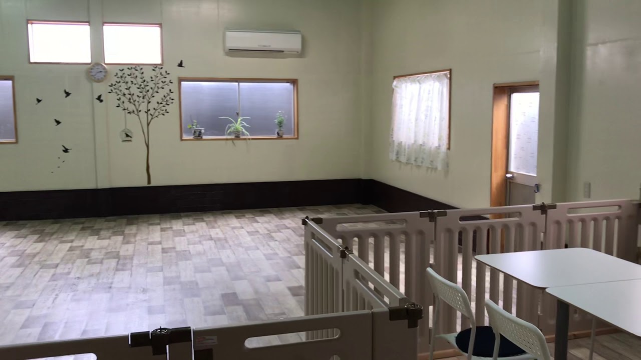 大阪府東大阪市 モモカフェ 室内ドッグラン Youtube