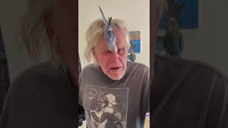 Sunday Is Bird Day At The Busey House