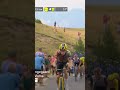 Do you remember this moment when Vingegaard dropped Pogacar ? #TDF2022 #cycling #Short