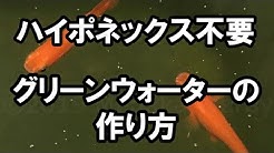 めだか藁屋 Youtube