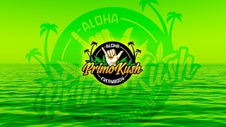 Story Time With Primo Kush (Live) 7pmPT