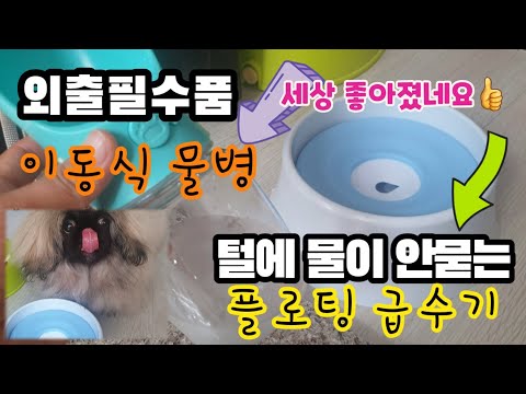 강아지 이동식물병 플로팅급수기 Puppy Mobile Plant Bottle Floating Water Supply