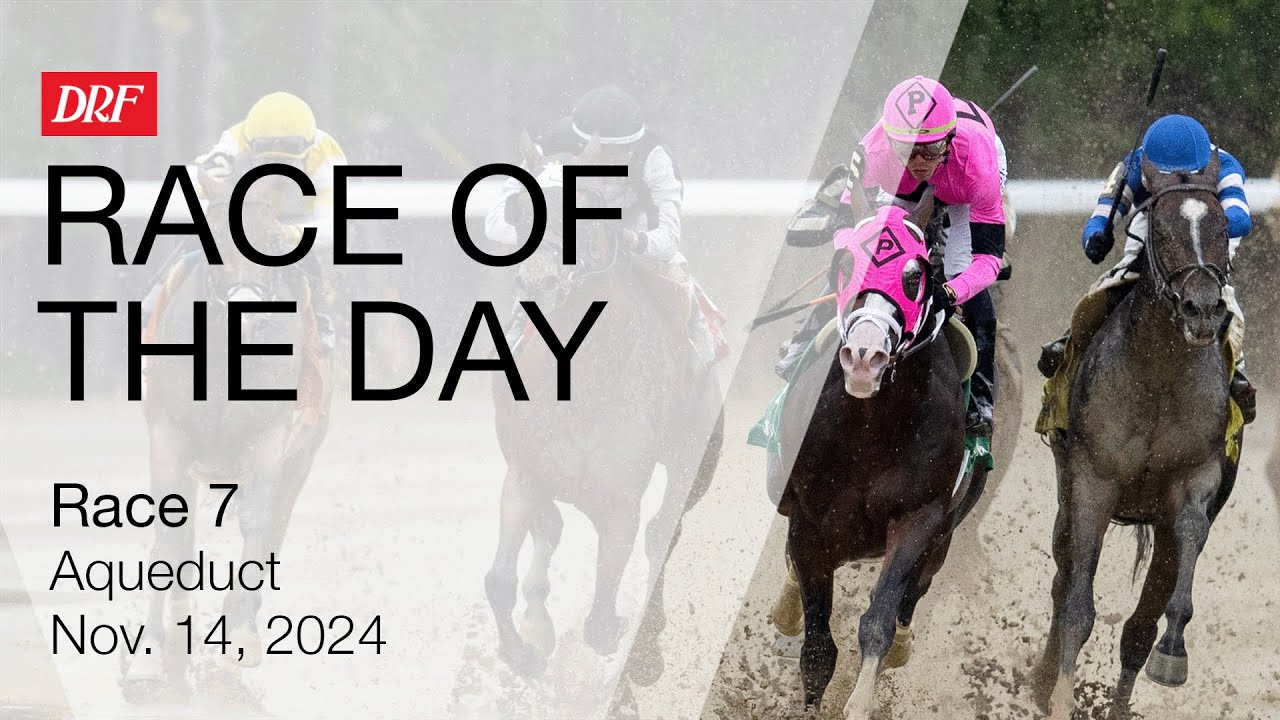 DRF Thursday Race of the Day | Aqueduct Race 7 | November 14, 2024 ...