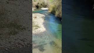 RIO PRECIOSO PARA DARSE UN BUEN CHAPUZÓN JACA-HUESCA-ESPAÑA #naturaleza #rios #paisajes #nature