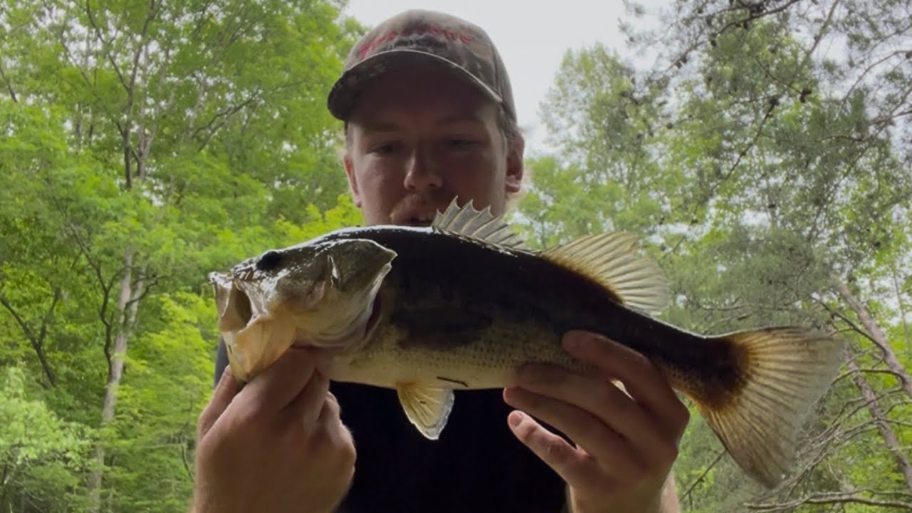 Bass fishing Abandoned Pond