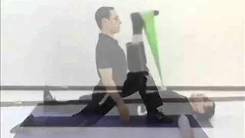 Horse Stance Front Stance Lunge Squat Kung Fu Martial Arts Taekwondo.wmv