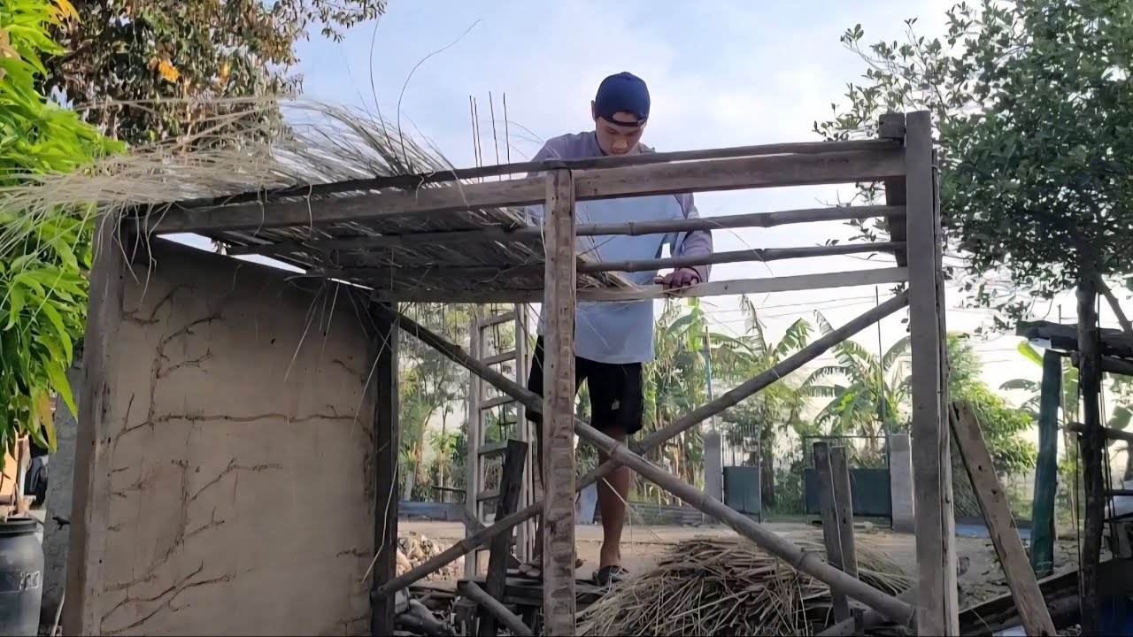 Building my pigeon loft #pigeon #pigeonhouse #loft #birds #house #youtube