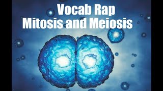 Vocab Rap: Mitosis and Meiosos
