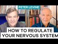 How to regulate your nervous system for stress  anxiety  peter levine  ten percent happier