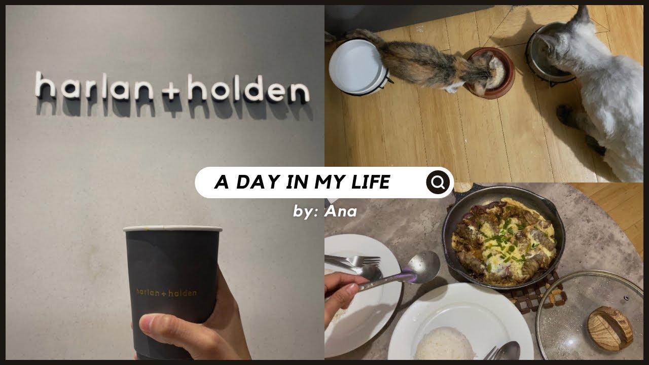 life update: cleaning therapy, home cooking, grocery, coffee, best cats