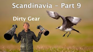 How I find Wildlife & Cleaning Photo Equipment