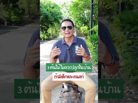 Golf Garden tips3ต้นไม้ไม่ควรปลูกในบ้านถ้ามีเด็กและคนแก่ 3 ต้นไม้ไม่ควรปลูกในบ้าน ถ้ามีเด็กและคนแก่