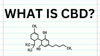 A.LEAF | CBD Basics 1