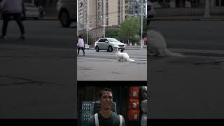 Download Lagu These Rabbits Are Alone😞 MP3