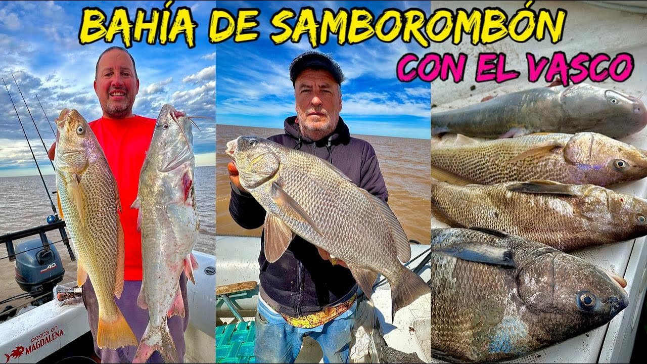 TV Nº709 03-10-2025 La primera corvina negra de la temporada