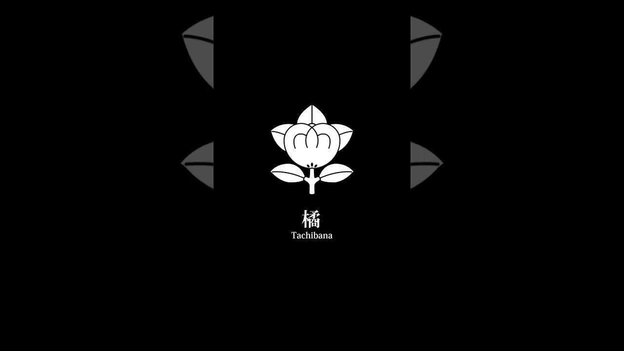 橘 Tachibana - YouTube