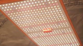 ECO Farm ECOT 120W/240W/480W Dimmable Samsung LM301H Quantum board LED Grow Light with UV&IR ECO Farm ECOT 120W/240W/480W Dimmable Samsung LM301H Quantum board LED Grow Light with UV&IR