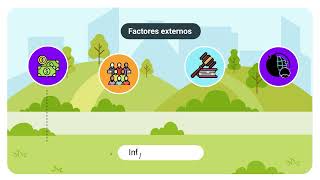 ¿Qué es el Marco Lógico? - Formulación de Proyectos