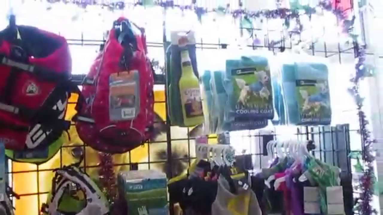 Max's Custom Pet Clothing Tour