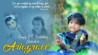 AriaGrace  1St Birthday Celebration //  LIVE  //  VC PHOTOGRAPHY 8106201096 //