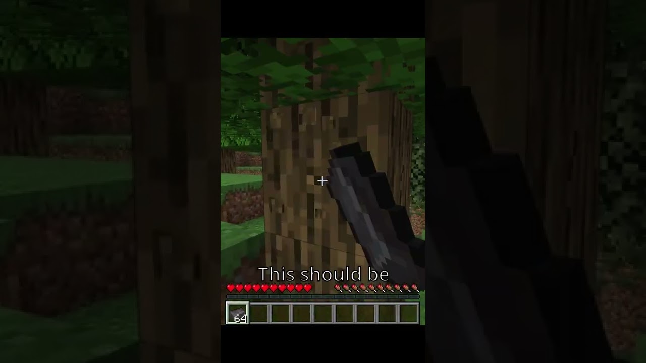 Minecraft but block drops are Random