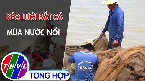 Kéo lưới bắt cá mùa nước nổi