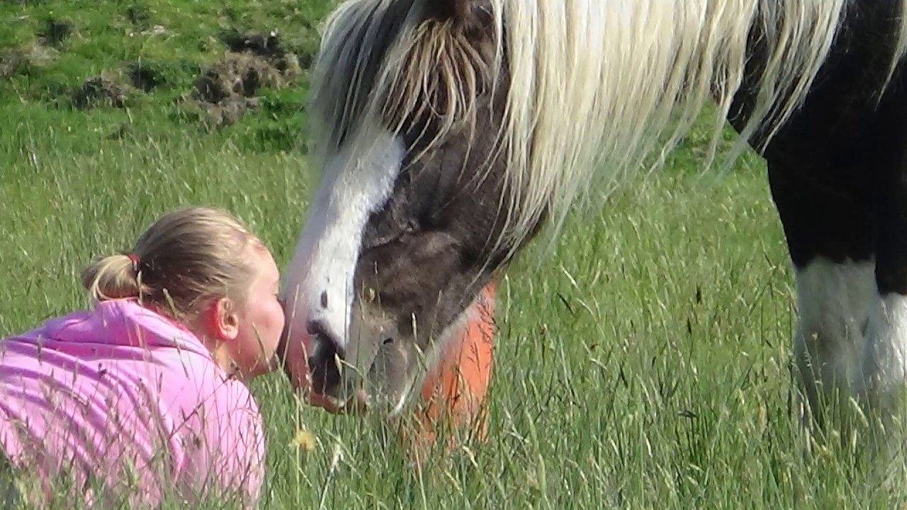 horseshoe bend Here's to Never Growing Up