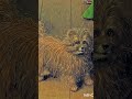 The Secret Symbols in This Famous Painting! | The Arnolfini Portrait Explained#viral #canvas