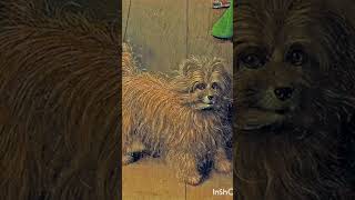 The Secret Symbols in This Famous Painting! | The Arnolfini Portrait Explained#viral #canvas