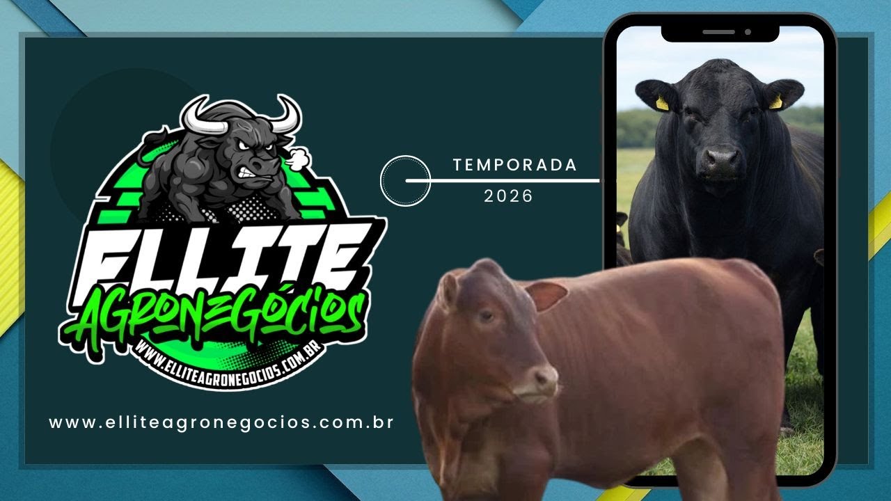 CAMBUÍ LEILÕES - CAMBUÍ MG  - 04/03/2026