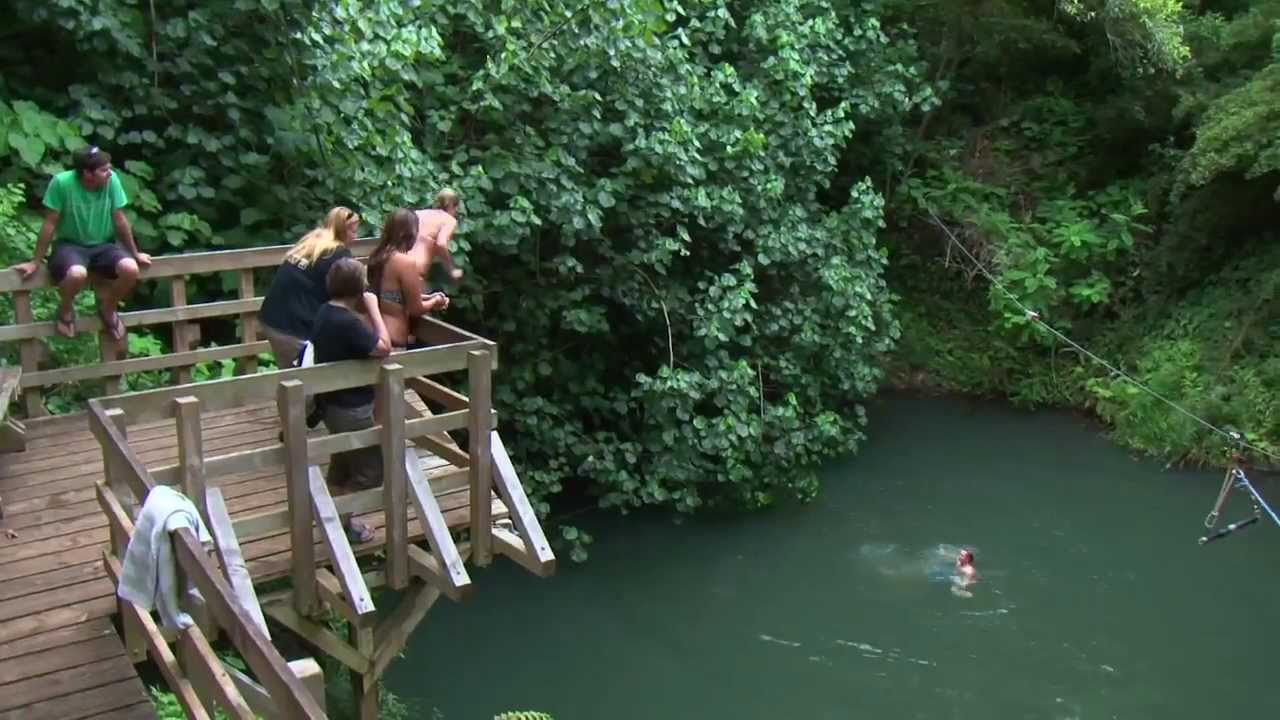 Zip & Splash | Shore Excursion | NCL