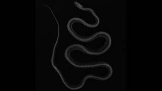 Seven Headed Serpent - Naas (EP) (2021 - Blackened Noisegrind)