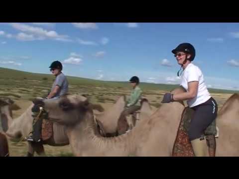 Vidéo: Chêne De Mongolie